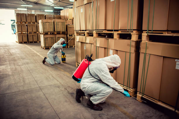 Best Pest Removal Services  in Denver, CO