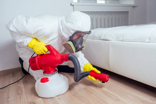 Best Rat Extermination Near Me  in Denver, CO