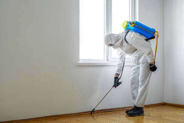 Best Pest Control Near Me  in Denver, CO