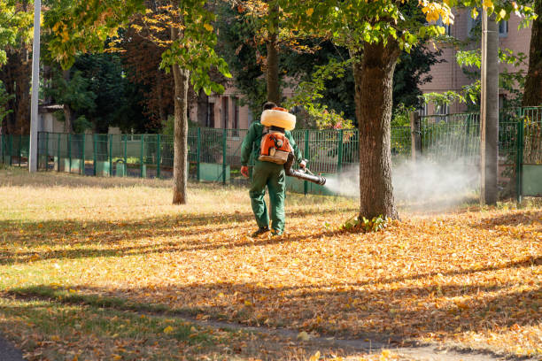  Denver, CO Pest Control Pros