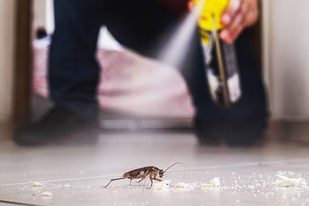 Denver, CO Pest Control Company